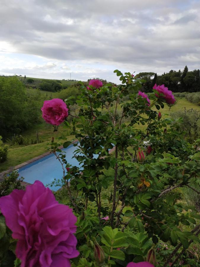 Poderi In Chianti Tavarnelle Val di Pesa 外观 照片